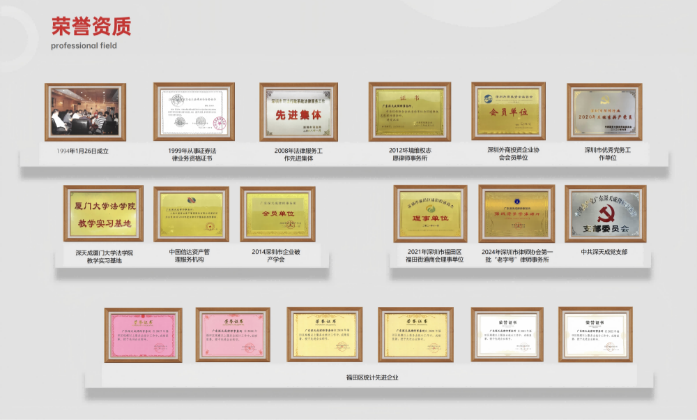 广东深天成律师事务所官方简介画册 剪裁.png